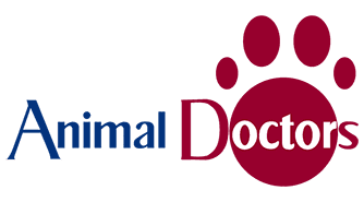 Animal Doc