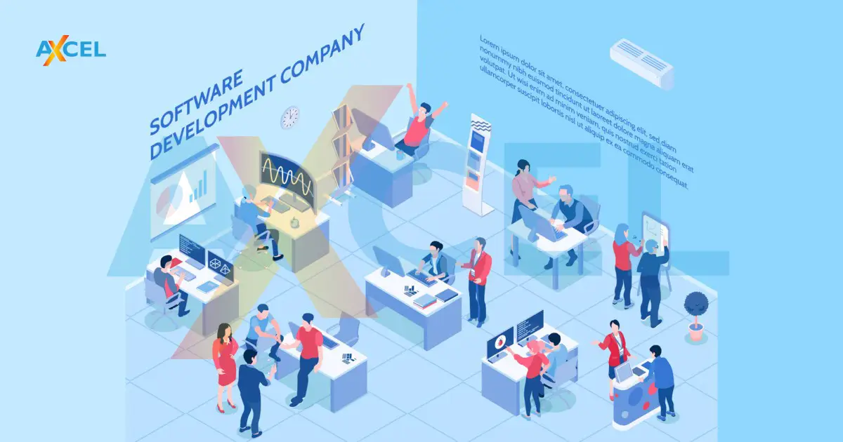 Custom software development team