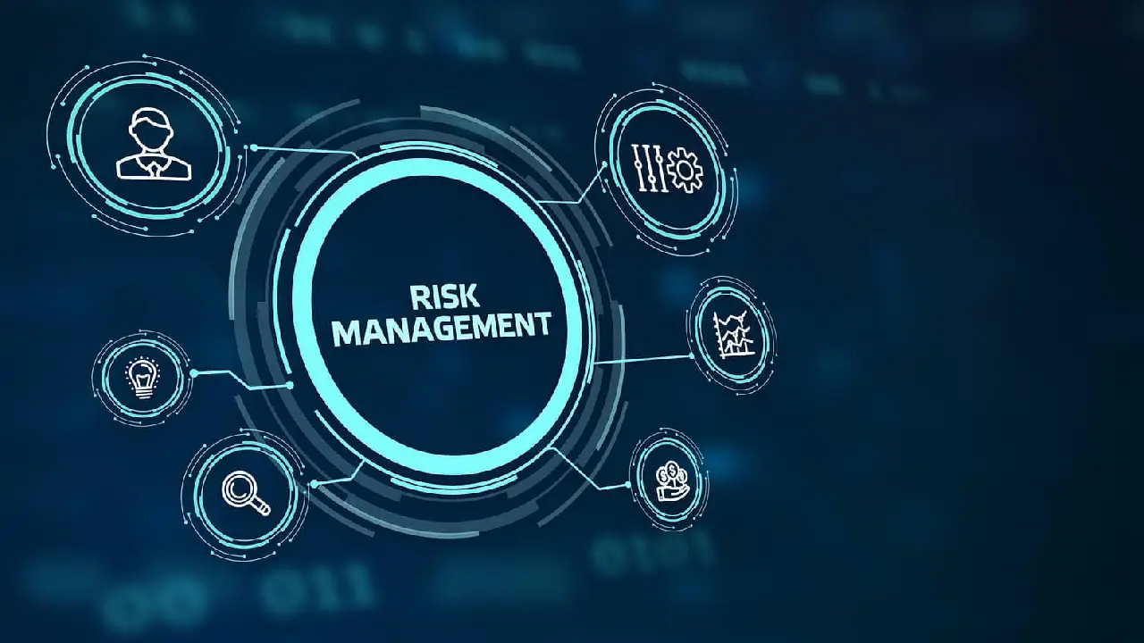 IT risk management strategies